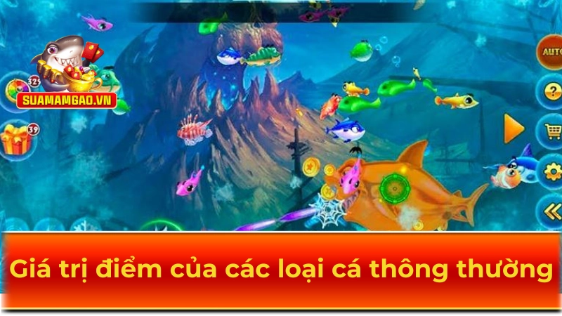 Giá trị điểm của các loại cá thông thường