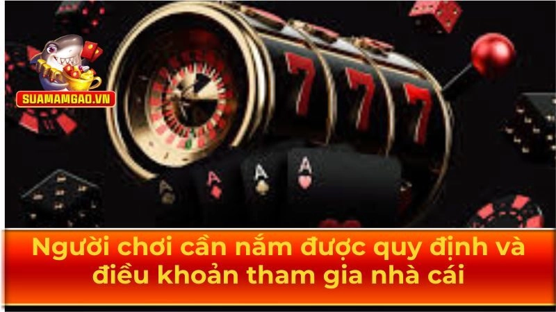 Người chơi cần hiểu và tuân thủ điều khoản sử dụng nhà cái