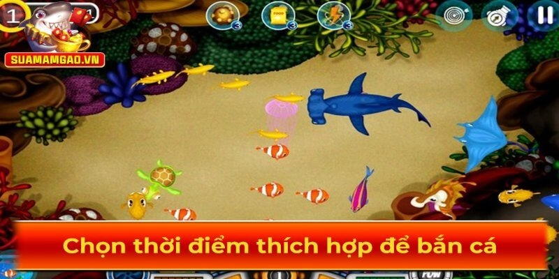 Nên bắn cá lúc cá di chuyển chậm