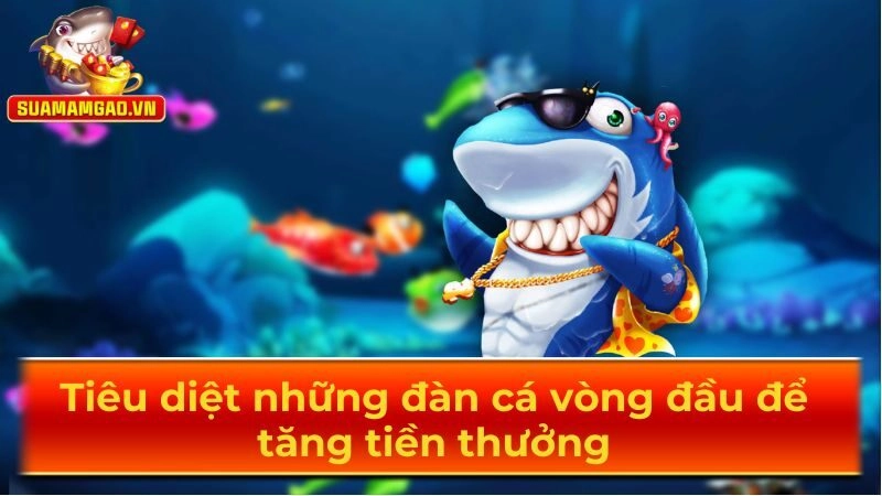 Tiêu diệt những đàn cá vòng đầu để tăng tiền thưởng