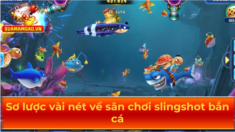 Sơ lược vài nét về sân chơi slingshot bắn cá