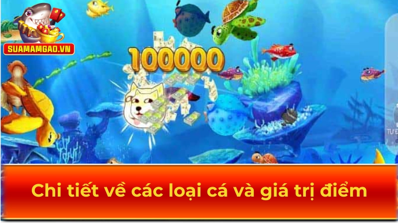 Chi tiết về các loại cá và giá trị điểm