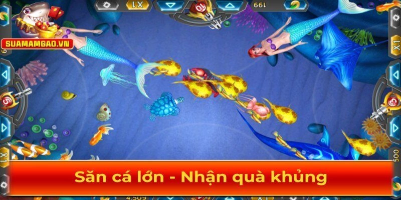 Chỉ bắn cá lớn khi thật sự chắc chắn