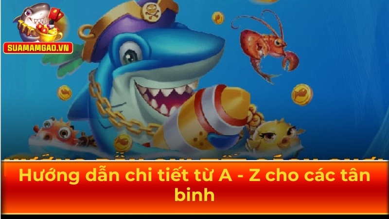 Hướng dẫn chi tiết từ A - Z cho các tân binh